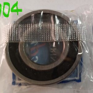 Bearing 6004