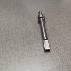 Balwant Pin